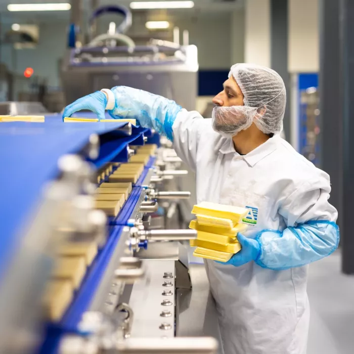 Vakgebied Productie sfeer vierkant LR 2610